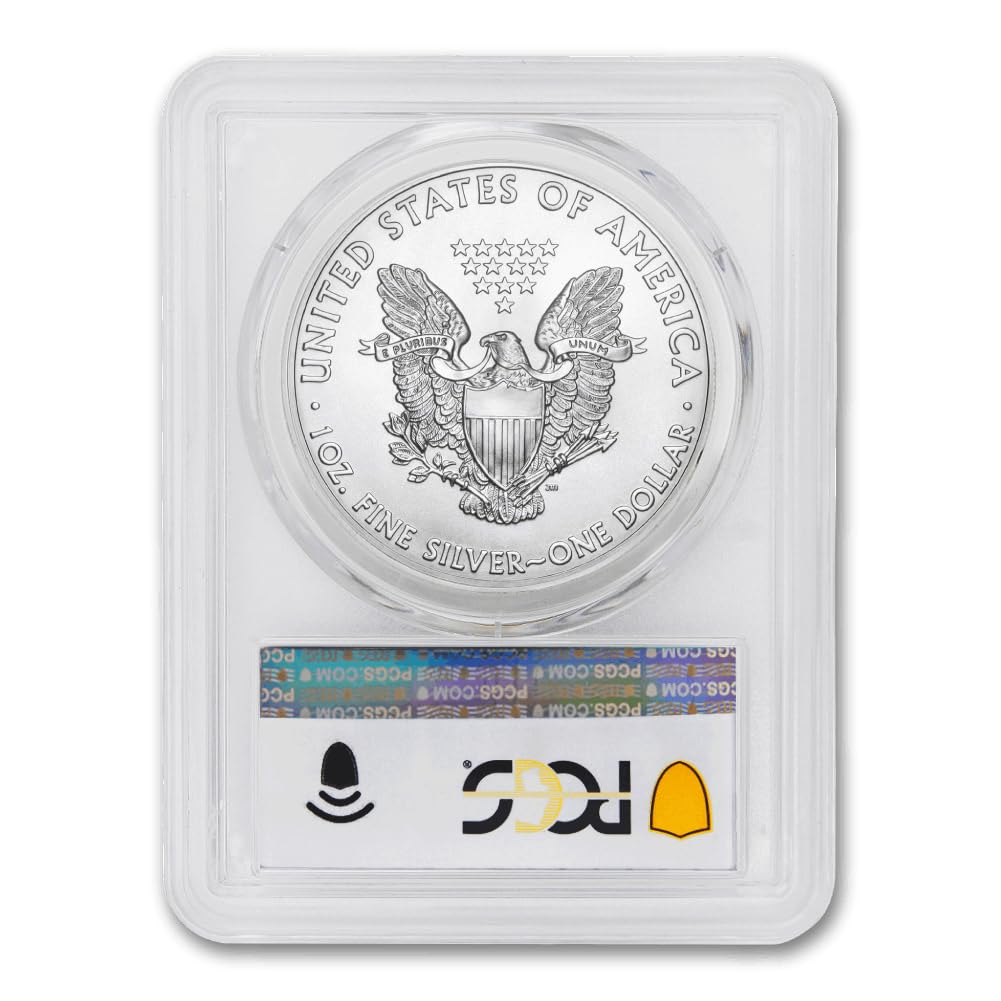 1 oz American Silver Eagle Coin MS-70 Z300