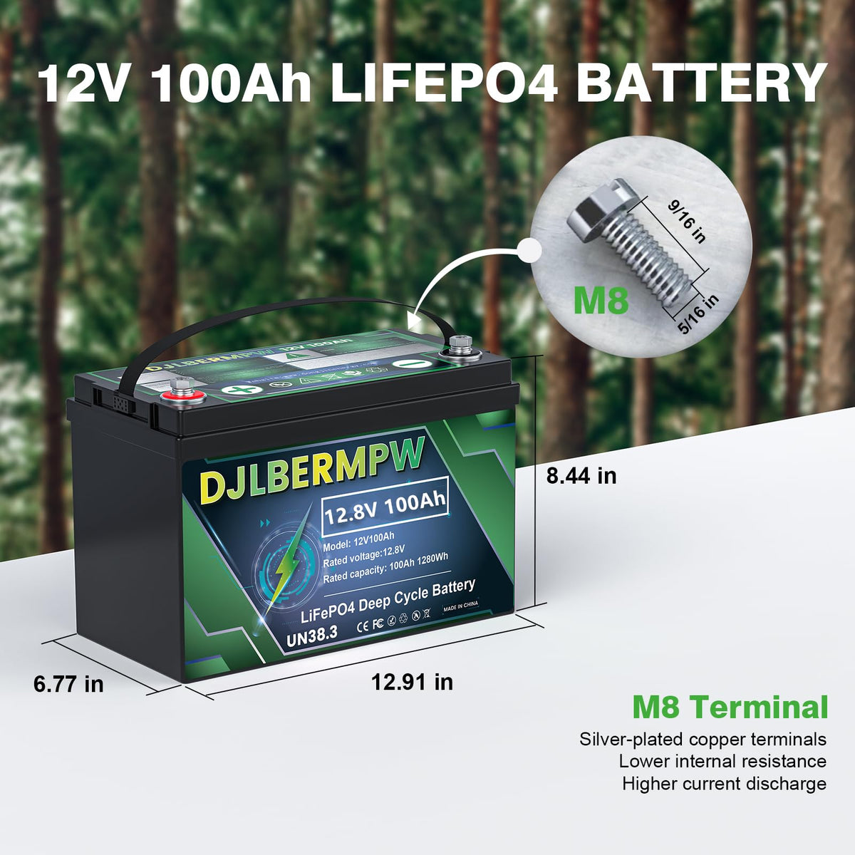 12V 100Ah LiFePO4 Lithium Battery N705