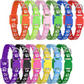 12 Pack Adjustable Puppy Collars N86430